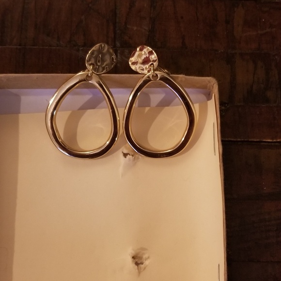 Zenzii necklace & Anne Klein earrings - Picture 2 of 7